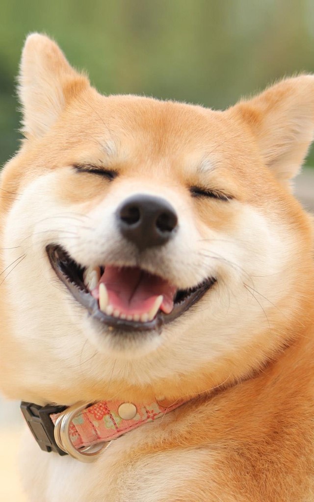 Por una sonrisa más sana